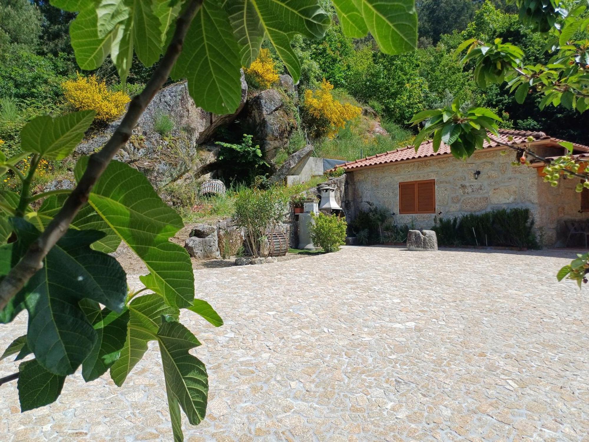 Gandarela de Basto Casa Da Fragoeiraヴィラ エクステリア 写真